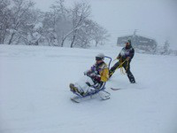 $障害者専門のスキースクール:サンメドウズ清里教室・車山高原教室-10