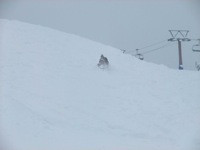 $障害者専門のスキースクール:サンメドウズ清里教室・車山高原教室-4